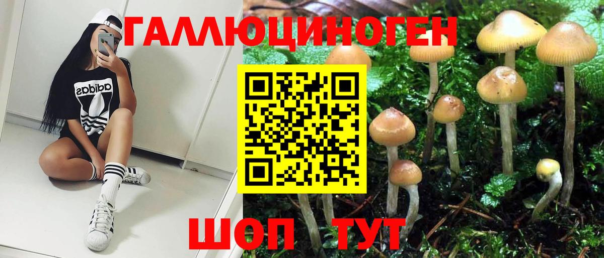 Галлюциногенные грибы Cubensis Обнинск