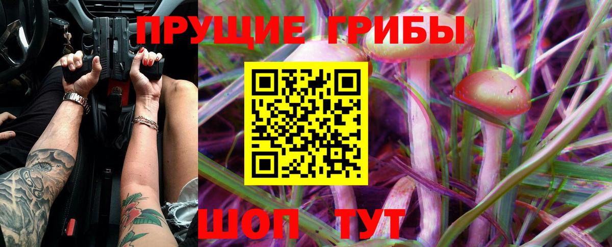 дарнет шоп  Вход с VPN  Обнинск  Галлюциногенные грибы Psilocybe 